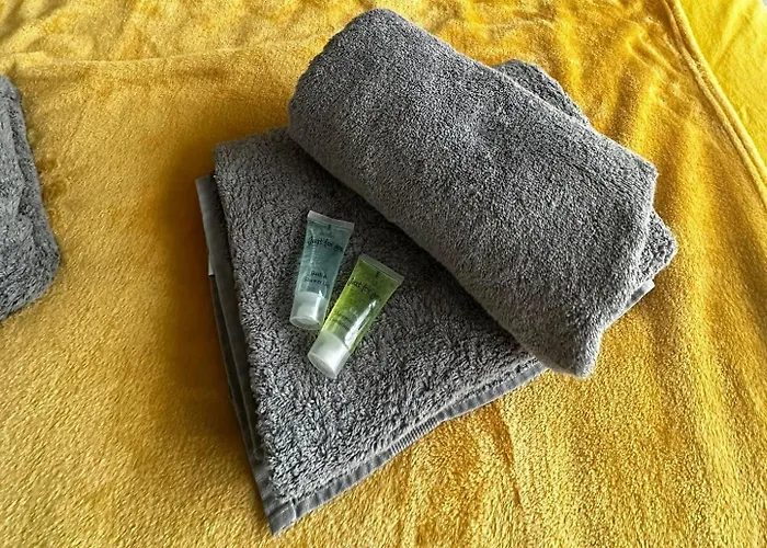 Апартаменты Appartement Centre Arcachon Avec Terrasse Vue Mer, Clim Et Parking Аркашон