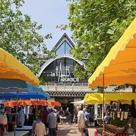 Centre Avec Terrasse Vue Mer, Clim Et Parking آركاشو